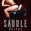 Saddle