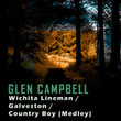 Wichita Lineman/galveston/country Boy (medley)