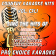 Country Karaoke Hits, Vol. 141