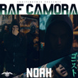 NOAH