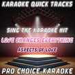 Karaoke Quick Tracks : Love Changes Everything (karaoke Version)