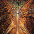 Focus 