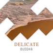 # 1 Album: Delicate Buddha