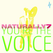 You're the Voice