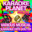 Various Musical Karaoke Hits, Vol. 19
