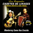 Monterrey Como Has Crecido