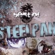 Best Of Steelpan