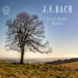 J.S. Bach: Great Piano Works