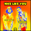 Nice Like You (feat. Karlito Graffix)