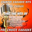 Country Karaoke Hits, Vol. 137