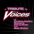A Tribute To The Voices Of Christina Aguilera, Maroon 5, Cee Lo Green And Blake Shelton