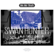Swan Hunter