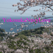 YokosukaNavyLove