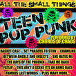 All The Small Things: Teen Punk Rock