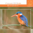Chlorophylle Ii Concert Of Birds