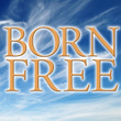 Born Free - A Tribute To Kid Rock