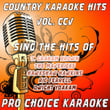 Country Karaoke Hits, Vol. 205