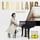 The Well-Tempered Clavier: Book 1, BWV 846-869: 1. Prelude in C Major, BWV 846