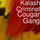 Cougar Gang