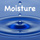 Moisture