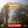 Piano Concerto No. 1 in E Minor, Op. 11: I. Allegro maestoso (Live)