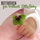 String Quartet No. 7 in F Major, Op. 59 No. 1: II. Allegretto vivace e sempre scherzando