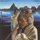 Sleeping Giant (Album Version)