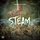 Steam
