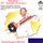 Raga: Shuddha Basant (Drut Gat - Teentaal)