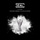 El Pozo - Wisemen Project & Elyella Remix