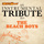Surfin' Safari (Instrumental Version)