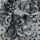 Vacant Boat (shred) | Nonkilling 1 | The Anteroom | False Skull 1