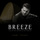 Breeze - Live at the Heydar Aliyev Center