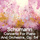 Concerto for Piano and Orchestra, Op. 54: I