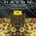 Symphony in E minor, H.I No.44 -"Mourning": 1. Allegro con brio