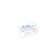 Snow Globe / / Acoustic