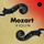 Violin Concerto No. 1 in B-Flat Major, K. 207: I. Allegro moderato