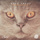 Away - Original Mix