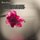 Piano Sonata No. 7 in D Major, Op. 10, No. 3: I. Presto
