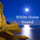 Peaceful Sleep Music (jardin zen)