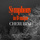 Symphony In D Major : I. Largo - Allegro