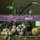 4 Orchestral Suites...