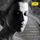 Violin Concerto No.1 In A Minor, BWV 1041: 1. (Allegro moderato)