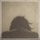 A Needle in a Haystack