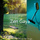 Heavenly Music for Zen Meditation