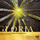 Gloria in excelsis Deo, BWV 191: I. Gloria in excelsis Deo