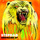 Jungles