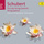 String Quartet No.13 in A minor, D.804 - "Rosamunde": 1. Allegro ma non troppo