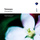 Concerto For Recorder, Bassoon, 2 Violins, Viola And Basso Continuo In F Major : Largo