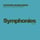 Symphony No. 29 in A Major, K201 - 186a - I. Allegro Moderato